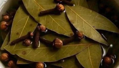 Bay.Leaf and Clove Herbal Tea