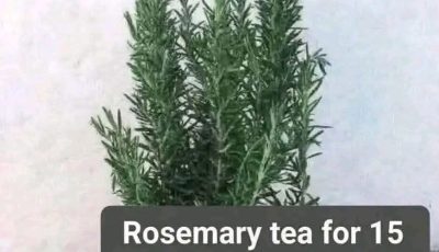 Rosemary Tea for Wellness: A Natural Herbal Remedy